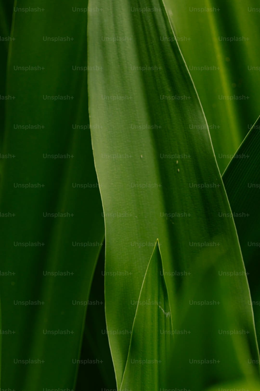 https://img3.utuku.imgcdc.com/632x0/ent/20250905/c0ceeda9-d1fb-447d-9b91-1cdf88ed4287.jpg